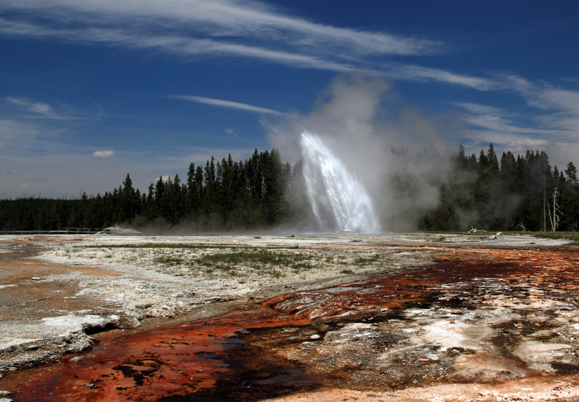 Going To Yellowstone?  Get This App 